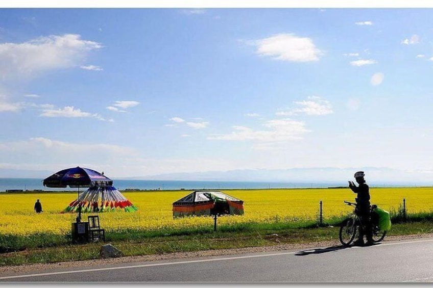 Qinghai Lake 