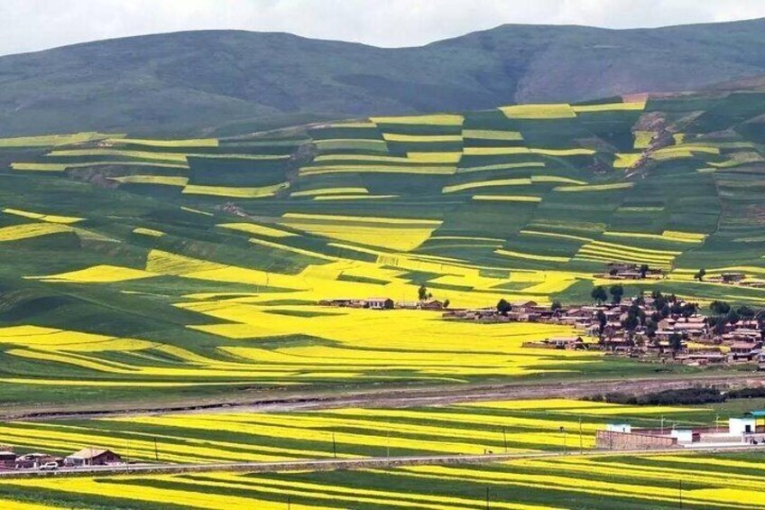 Qinghai Lake