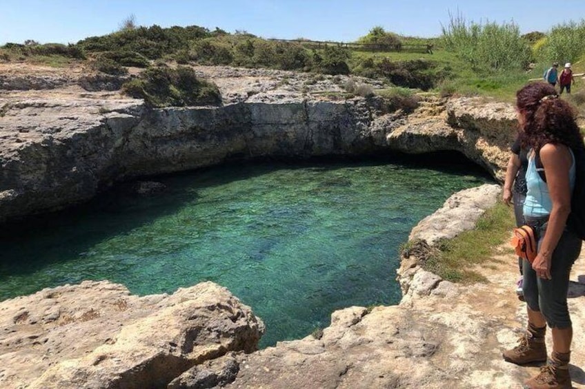 Natural Swimming Pool