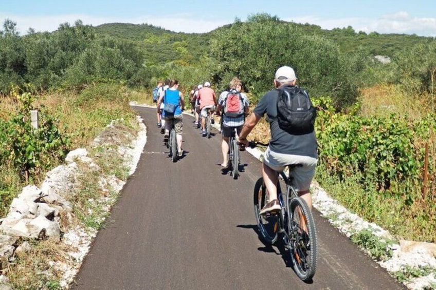 Start the tour with a ride through vineyards and olive groves