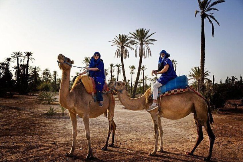 ATV Quad biking in Marrakech desert palmgrove