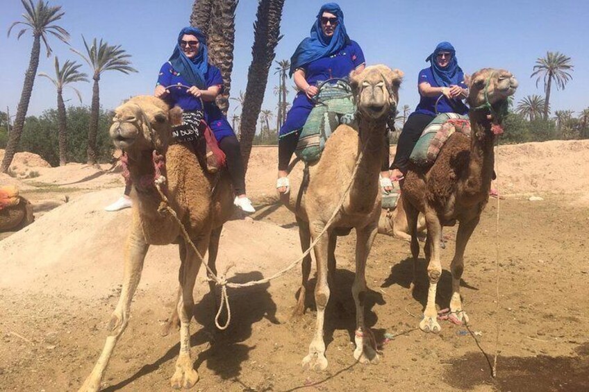 Camel Ride in Marrakech desert palmgrove