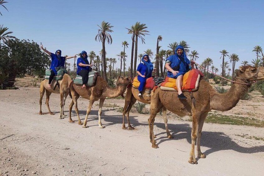 Camel Ride in Marrakech desert palmgrove