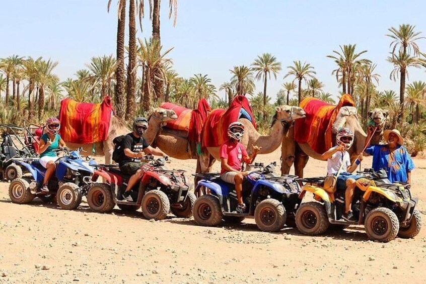 Camel Ride in Marrakech desert palmgrove