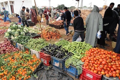 Essaouira Tour - Half day visit to berber market