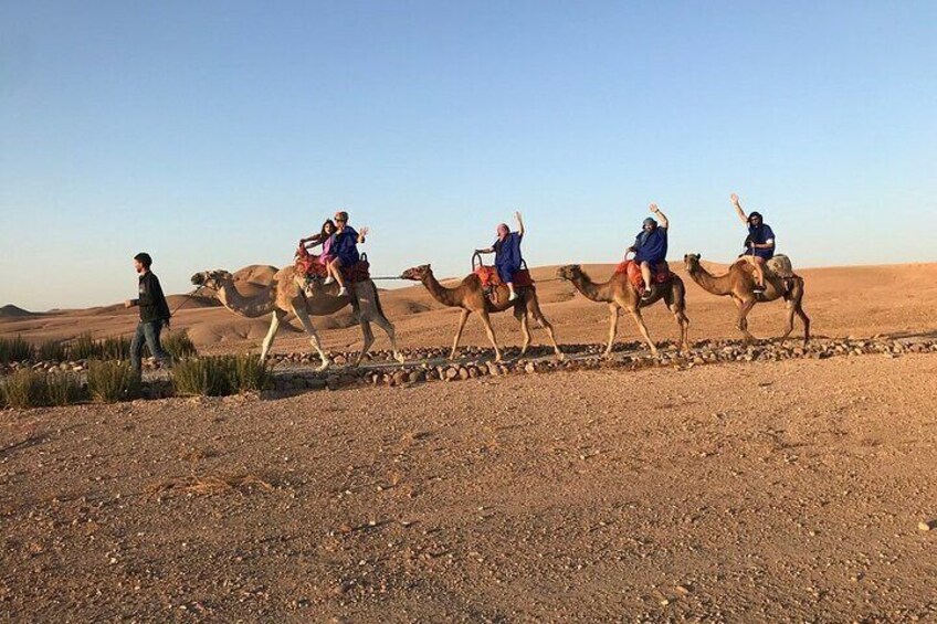 Camel ride experience 