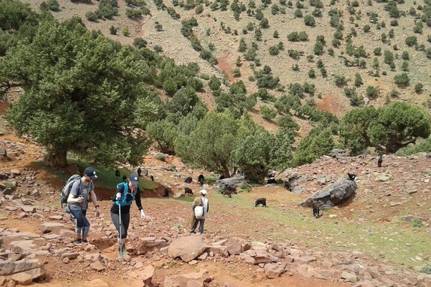 2-Day Guided Trek of the Atlas Mountains and Berber Villages