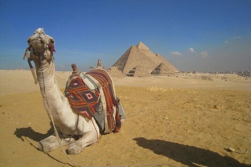 Giza pyramids camel ride
