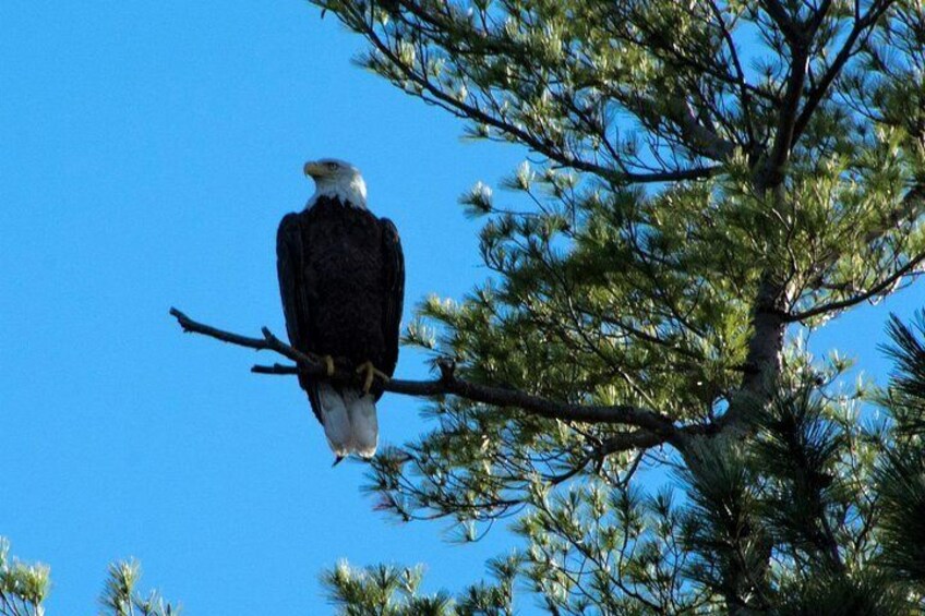 Nature and wildlife spotted around every turn