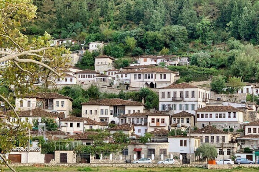 Day Tour of Berat via Belsh Lake from Tirana
