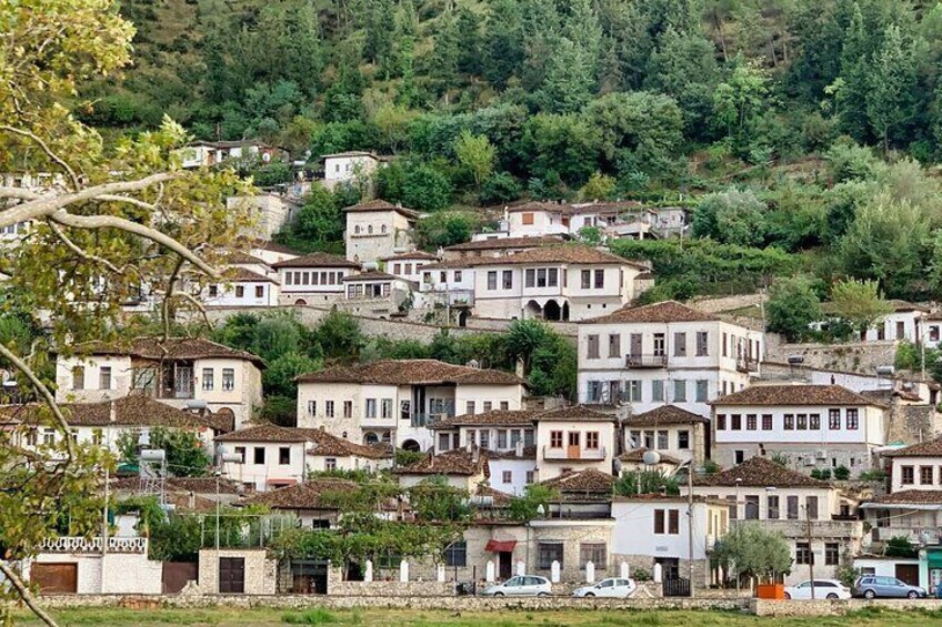 Day Tour of Berat via Belsh Lake from Tirana