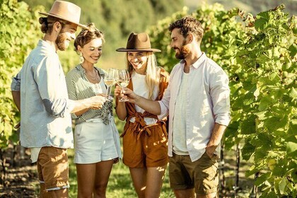 Visite guidée des ruines de Pompéi avec déjeuner et vin