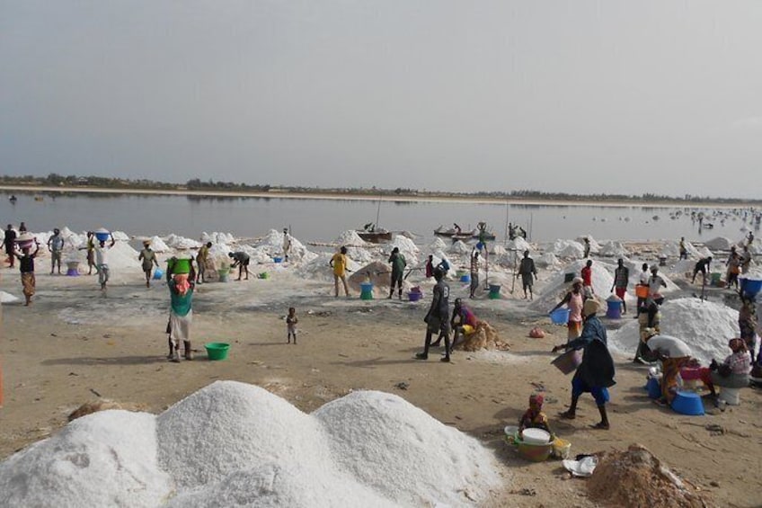 EXPERIENCE DAKAR IN 2 DAYS (minimum of 2 participants)