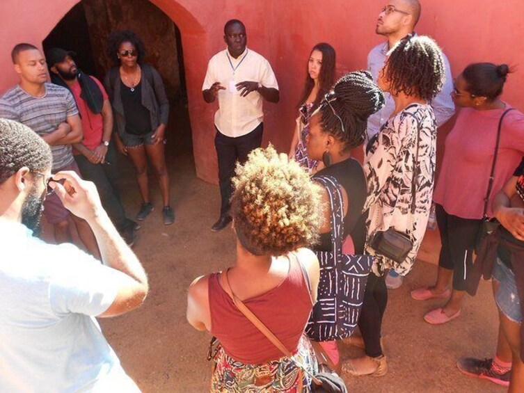 Experience Dakar-Goree-Pink Lake-Safari tour in 2 days