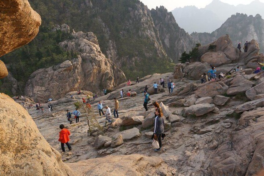 [Premium Private Tour] Mt Seorak & East Sea or Nami island from Seoul