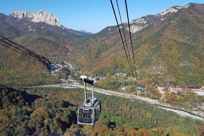 [Premium Private Tour] Mt Seorak & East Sea or Nami island from Seoul