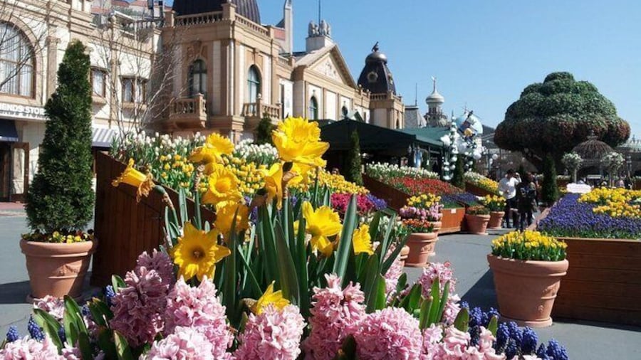 Everland