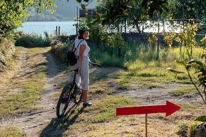 Paseo panorámico en bicicleta eléctrica (asistido por pedal) con vino y com...