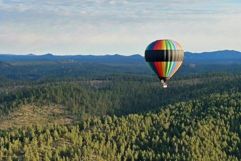 Soar over ponderosa pine forests, green valleys and granite spires.