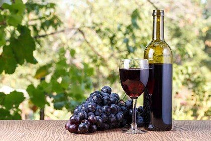 Plesivica Region Wine Tasting Half-day Private Tour