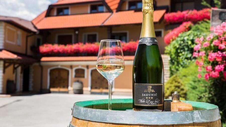 Plesivica Region Wine Tasting Half-day Tour