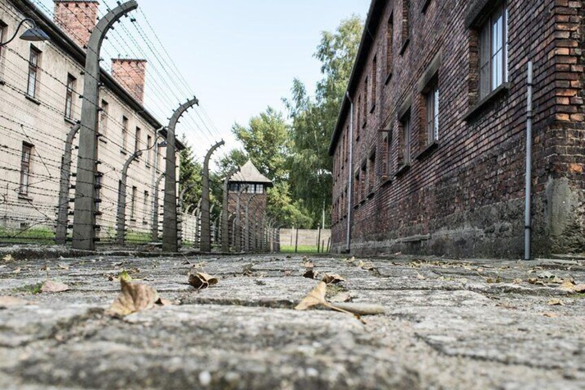 Auschwitz Birkenau Self-Guided & Guided Tour from Krakow