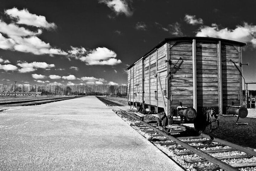 Auschwitz Birkenau Self-Guided Tour with Guidebook from Krakow