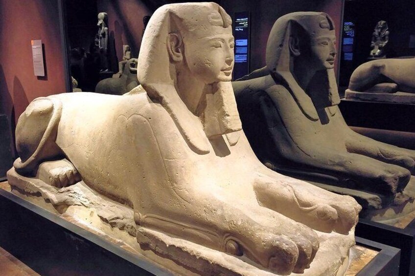 Sphinx at Egyptian Museum of Turin