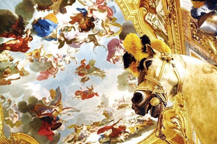 Skip the line Turin Royal Palace Tour with Holy Shroud Chapel, Armoury & Gardens