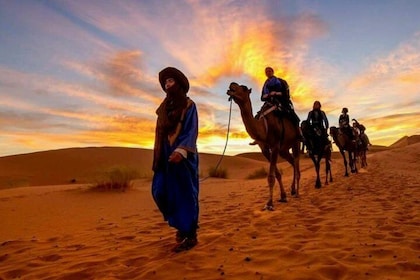 4 Days Morocco Tour From Spain