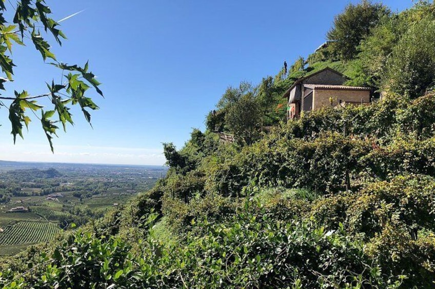 A sparkling day in the Prosecco Hills