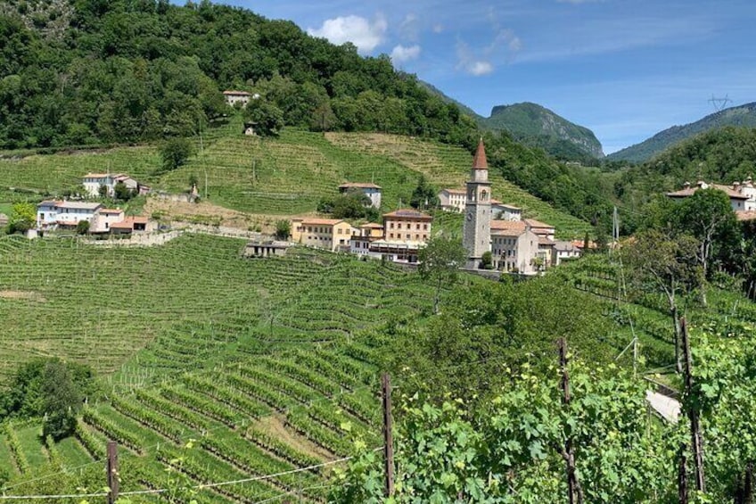 A sparkling day in the Prosecco Hills