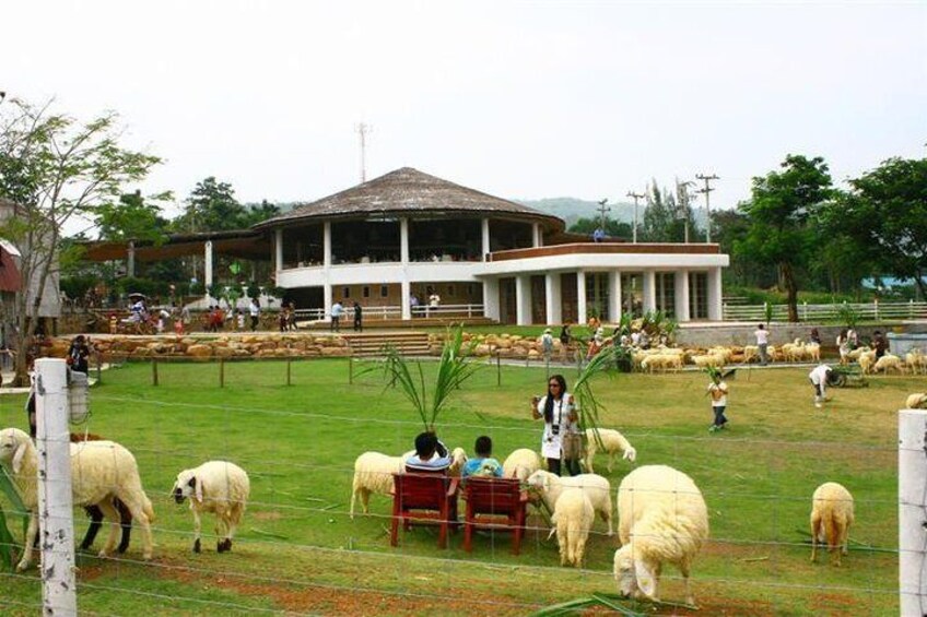 Fullday PrivateTour Refreshing,Healing,Amazing scape to Ratchaburi from Bangkok