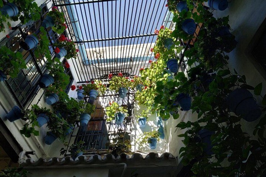 MALAGA PRIVATE TOUR - by OhMyGoodGuide