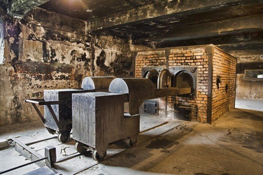 Auschwitz-Birkenau Tour with Transfer, eBook and Optional Guide