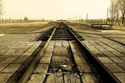 Visite d'Auschwitz-Birkenau au départ de Cracovie avec prise en charge à l'...