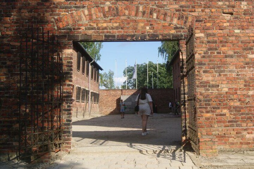 Krakow to Auschwitz Birkenau and Salt Mine 1 Day Tour FREE ebook 