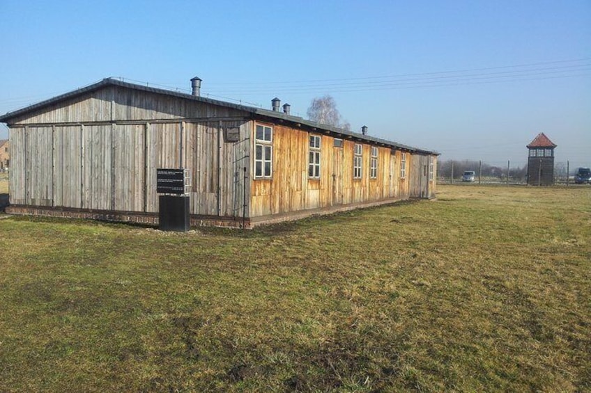 Auschwitz-Birkenau and Salt Mine in One Day from Krakow