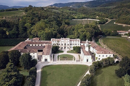Experiencia de cata de vinos y visita guiada a Villa Mosconi Bertani en Ver...