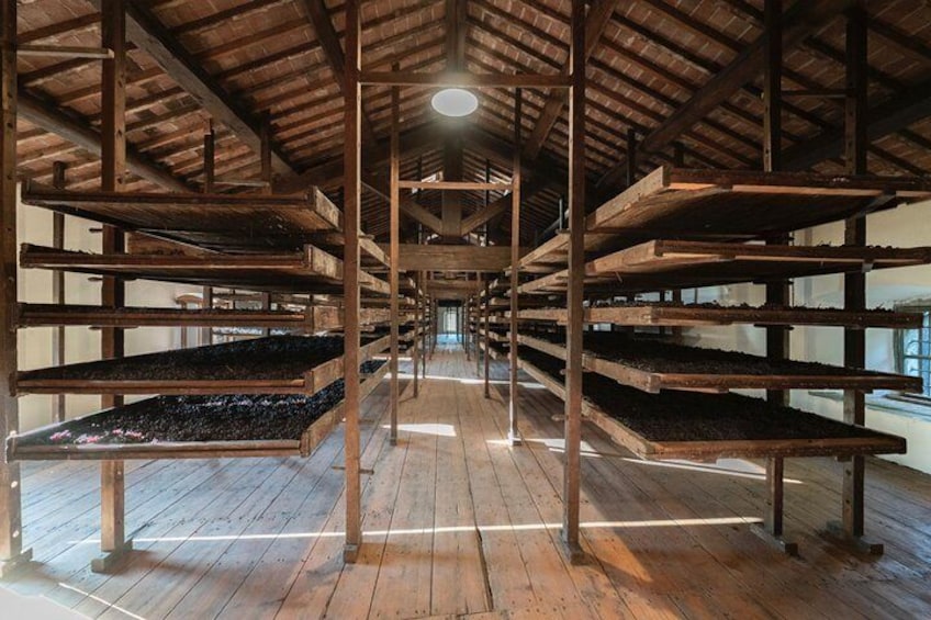 Villa Mosconi Bertani - Amarone Della Valpolicella grapes drying racks