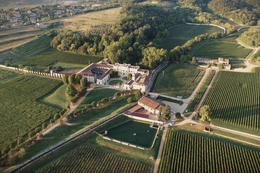 Villa Mosconi Bertani - Estate View