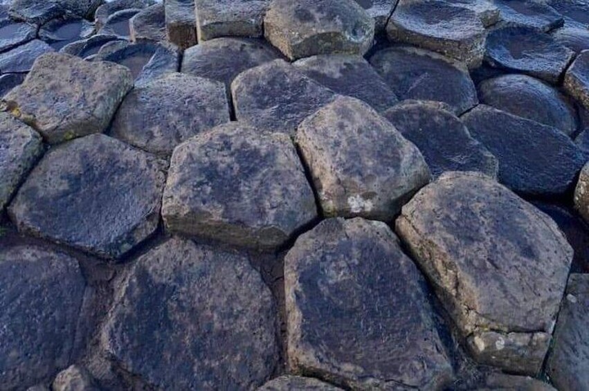 Private Game of Thrones including Giant's Causeway Causeway Coast Rope Bridge