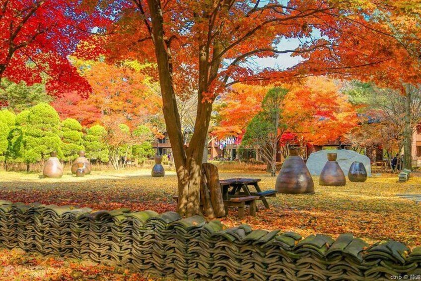 Private Trip to Nami Island and Ski Resort