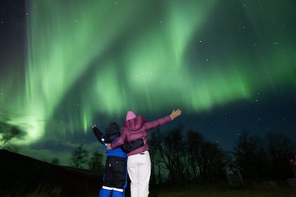 Tour en aurora boreal y experiencia en el Ártico - más que una simple perse...