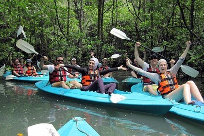 Langkawi Mangrove Kayaking Tour