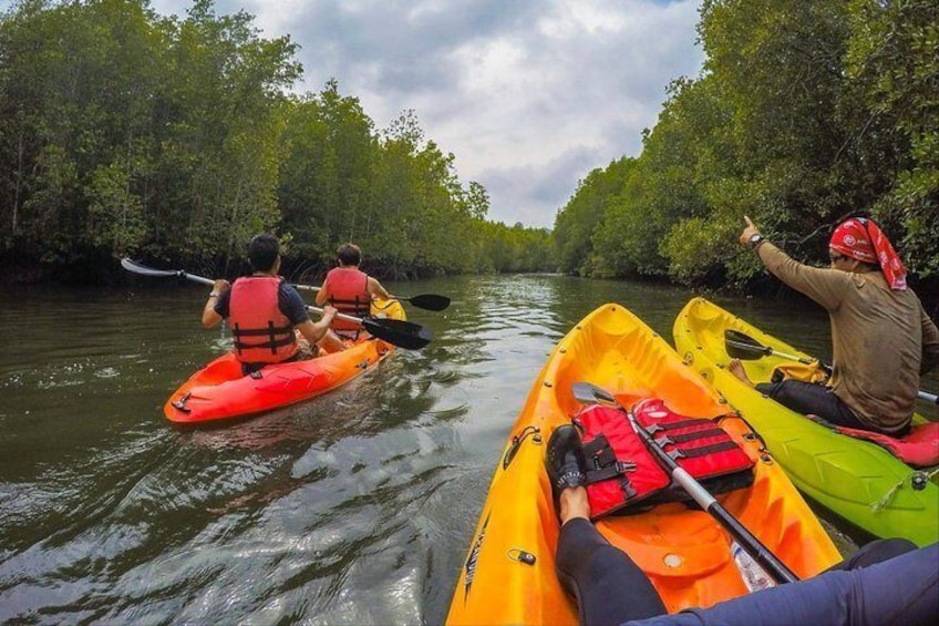 Langkawi Mangrove Kayak