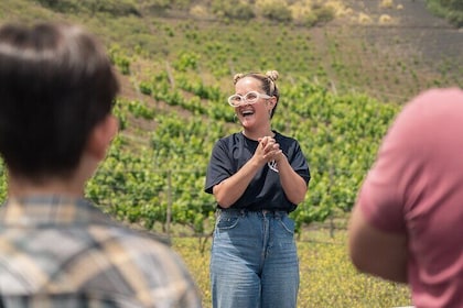 Experiencia del Vino en Bodega Los Lirios