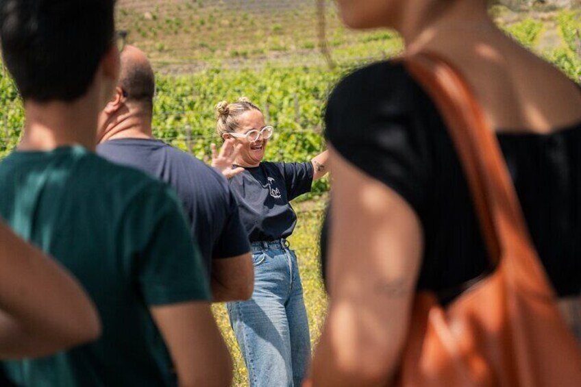 Canarian Wine Experience at Bodega los Lirios