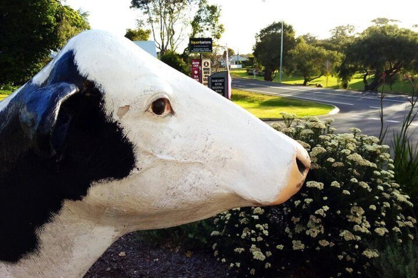 Cowaramup is "Cow - Town!"...