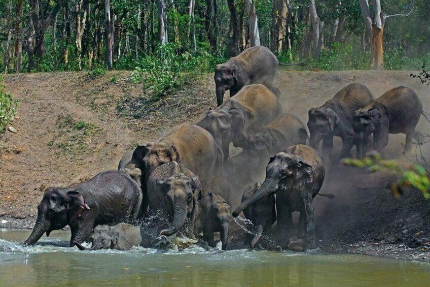 Rajaji National Park